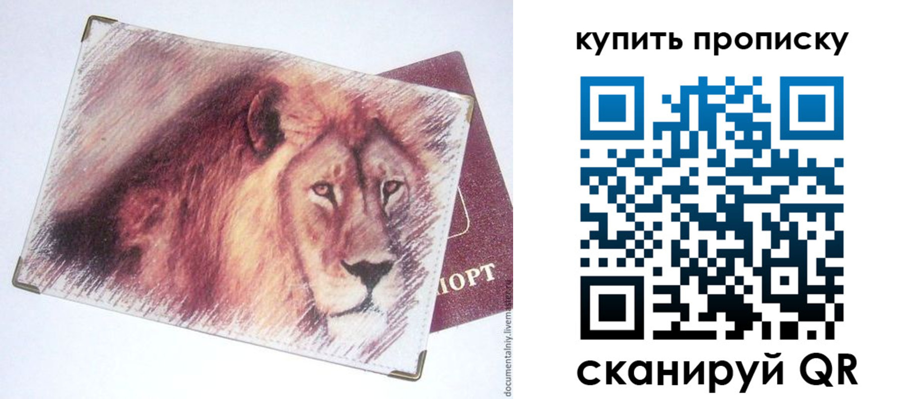 прописка паспорт в Димитровграде